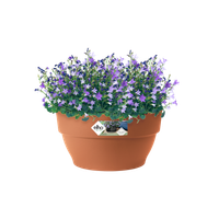 vibia campana coupe 34cm terre cuite